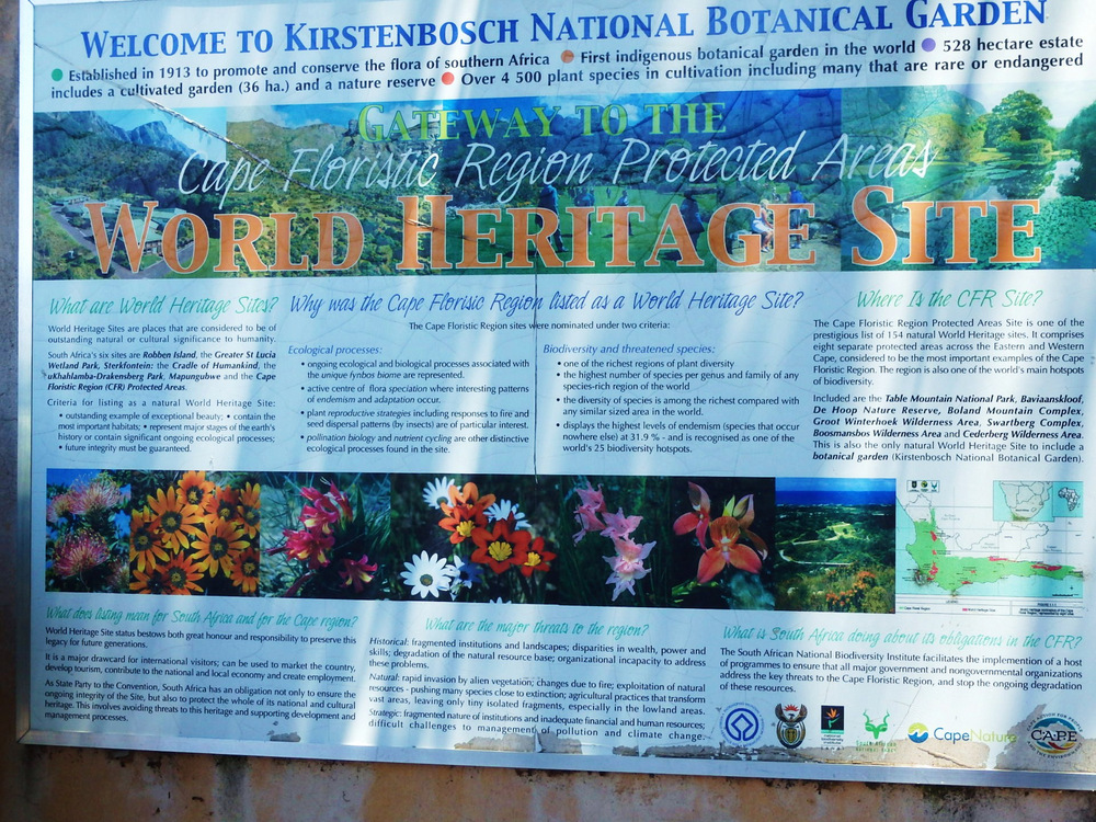 Kirstenbosch National Botanical Garden.